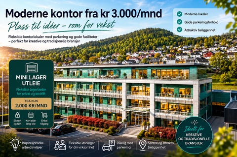 Bilde 1 av annonsen