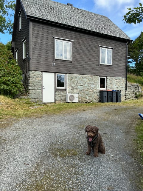 Bilde 1 av annonsen