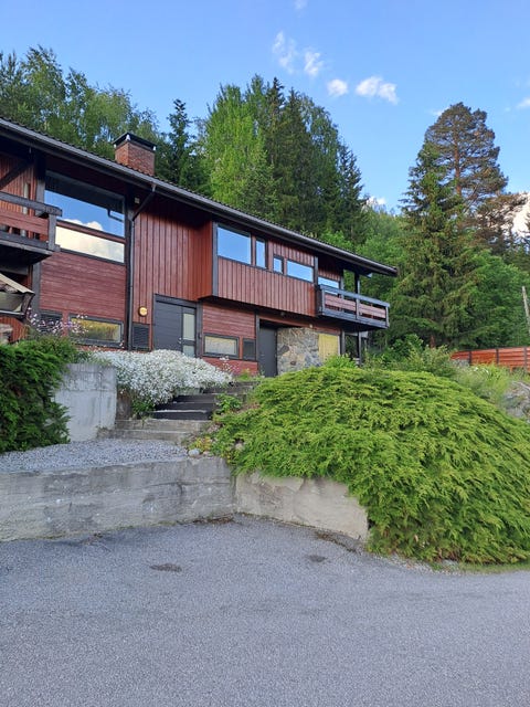 Bilde 1 av annonsen