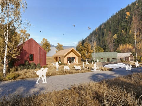 Bilde 1 av annonsen