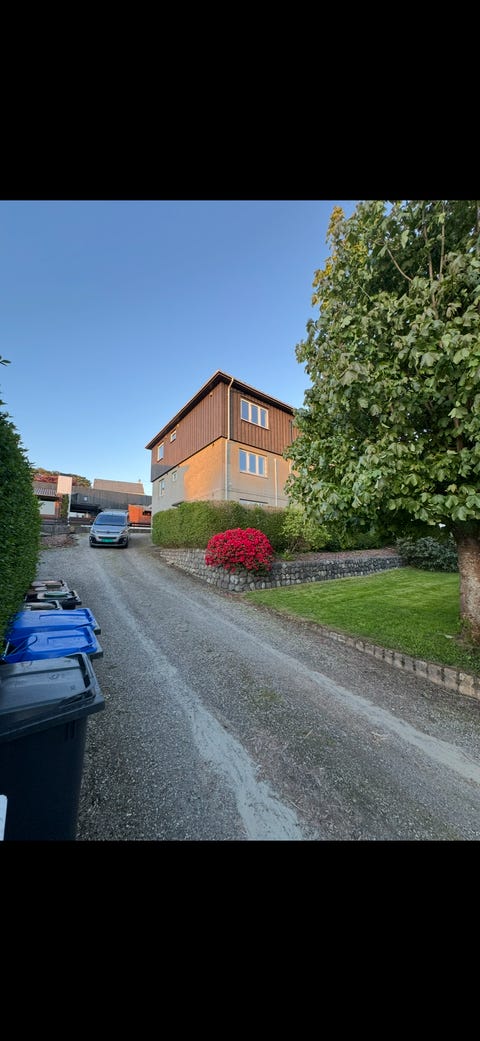 Bilde 2 av annonsen