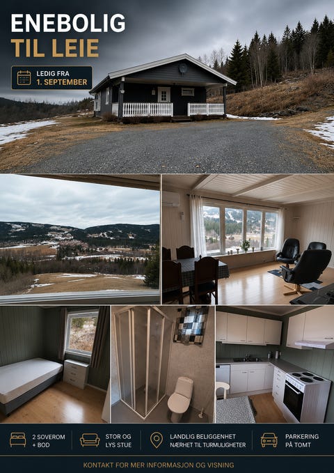 Bilde 1 av annonsen