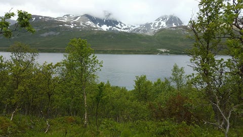 Bilde 1 av annonsen