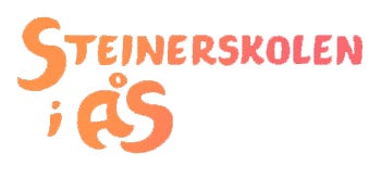 Stiftelsen Steinerskolen I Ås logo