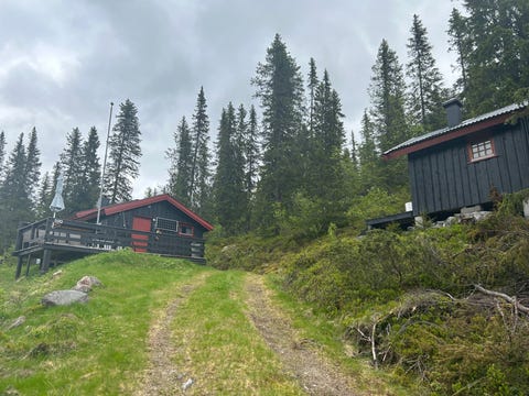 Bilde 2 av annonsen
