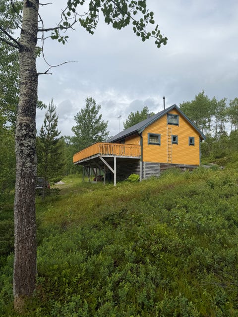 Bilde 1 av annonsen