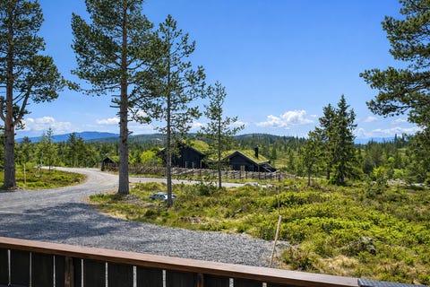 Bilde 2 av annonsen