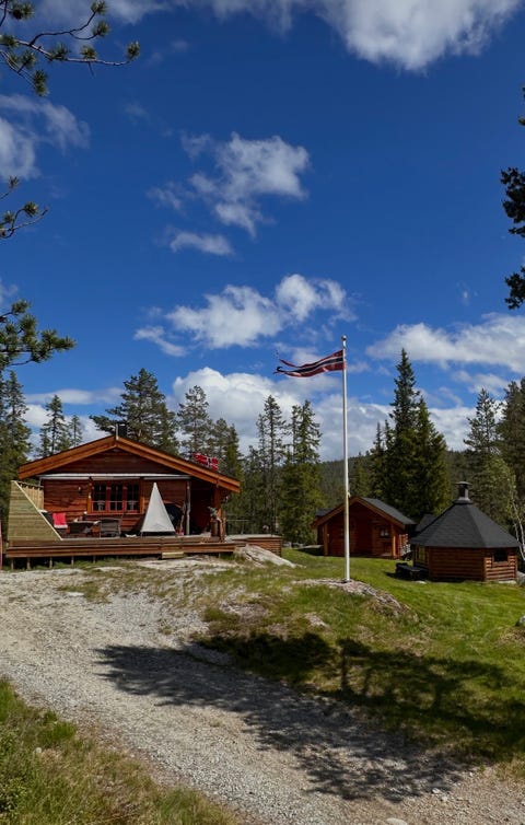 Bilde 1 av annonsen