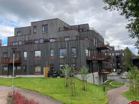 Bilde 1 av annonsen