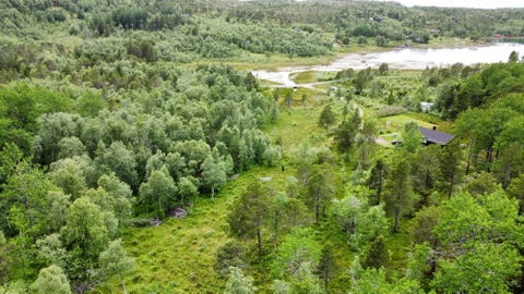 Bilde 1 av annonsen