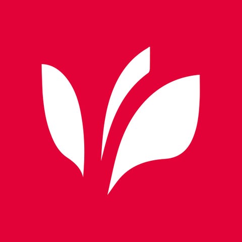 Det Norske Bibelselskap logo