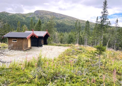 Bilde 1 av annonsen