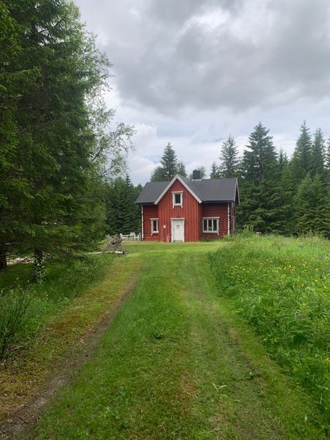 Bilde 2 av annonsen