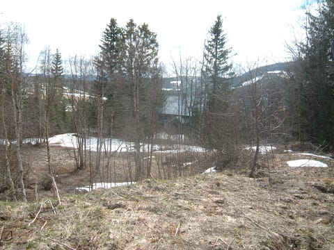 Bilde 2 av annonsen
