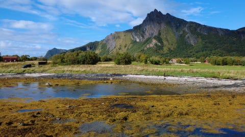Bilde 1 av annonsen