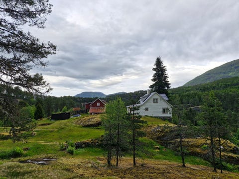 Bilde 1 av annonsen
