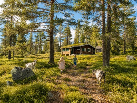 Bilde 1 av annonsen