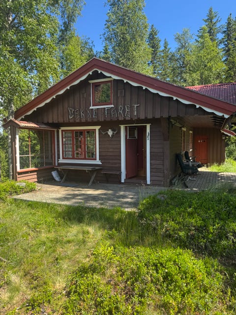 Bilde 1 av annonsen