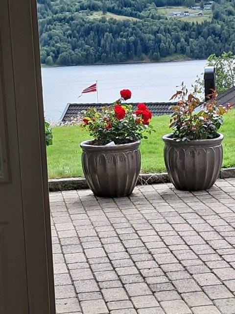 Bilde 2 av annonsen