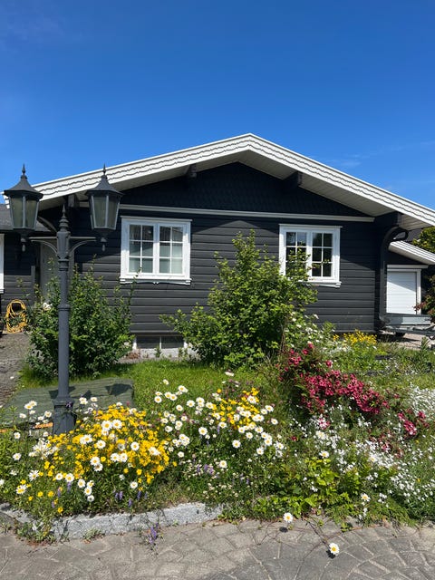 Bilde 2 av annonsen