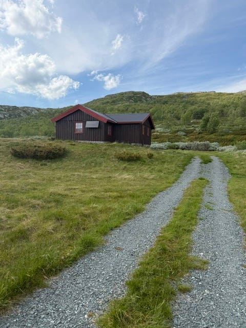 Bilde 1 av annonsen