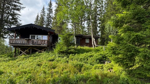 Bilde 2 av annonsen