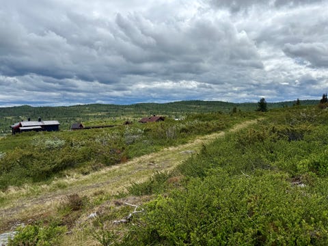 Bilde 1 av annonsen