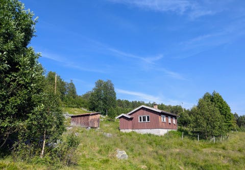 Bilde 1 av annonsen