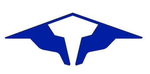 Camphill Landsbystiftelse i Norge logo
