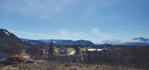 Bilde 1 av annonsen