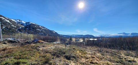 Bilde 1 av annonsen