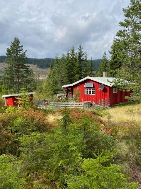 Bilde 1 av annonsen