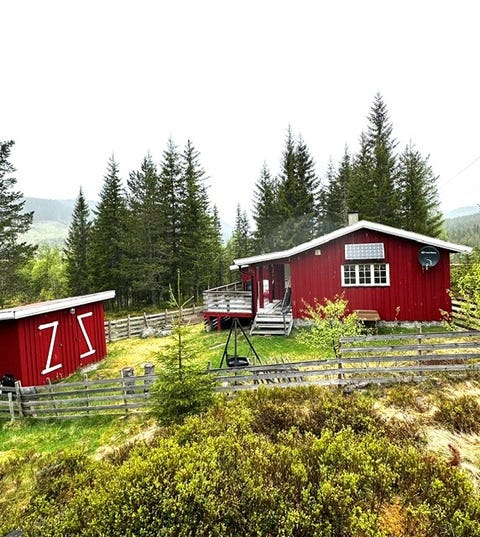 Bilde 1 av annonsen