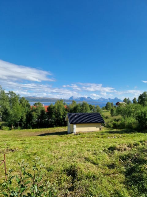Bilde 1 av annonsen