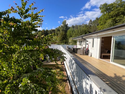Bilde 1 av annonsen