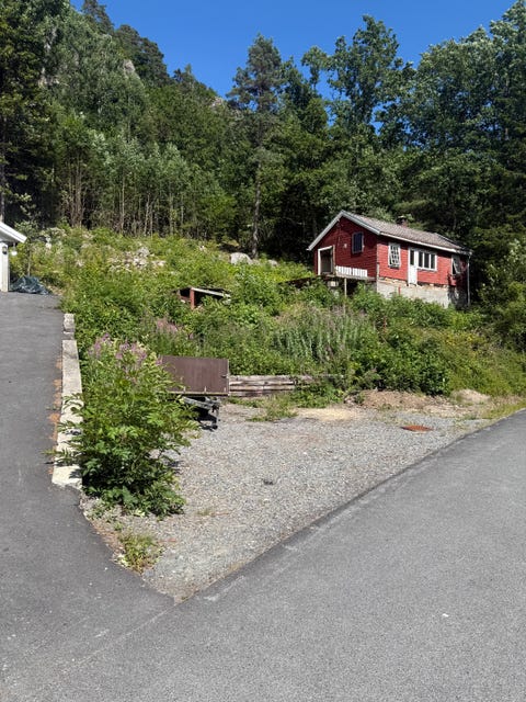 Bilde 1 av annonsen