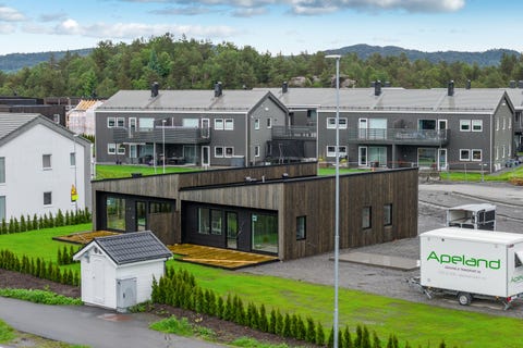 Bilde 1 av annonsen