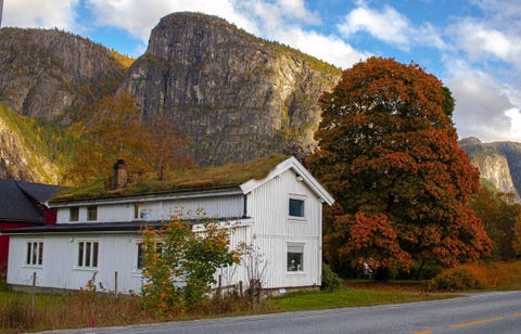 Bilde 1 av annonsen