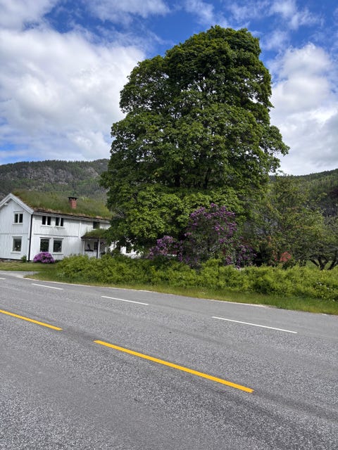 Bilde 2 av annonsen