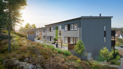 Bilde 1 av annonsen