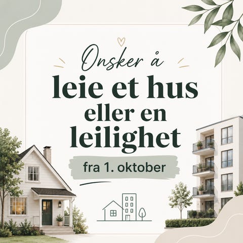 Bilde 1 av annonsen