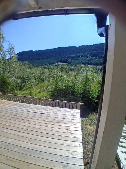 Bilde 2 av annonsen
