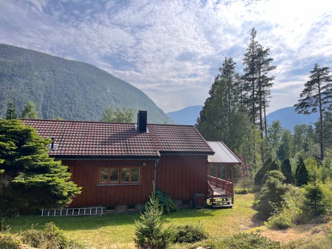 Bilde 1 av annonsen