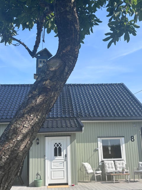 Bilde 2 av annonsen