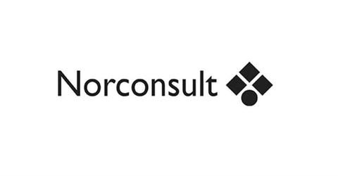 Norconsult Norge logo