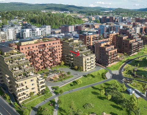 Bilde 1 av annonsen