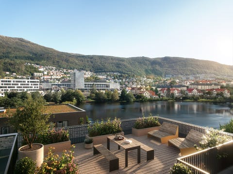 Bilde 2 av annonsen