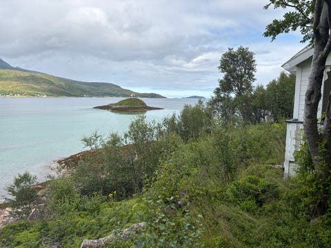 Bilde 1 av annonsen