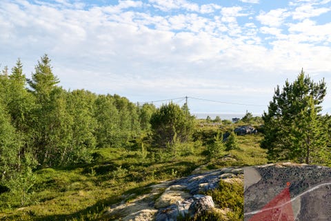 Bilde 1 av annonsen