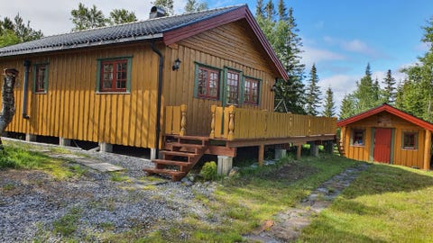 Bilde 1 av annonsen
